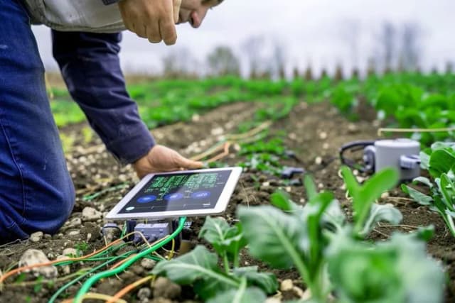 Precision Crop Management